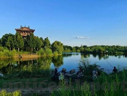 篮球世界杯 菲律宾-菲律宾篮球世界杯之旅，梦想与现实的碰撞